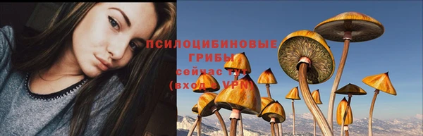 PSILOCYBIN Абаза