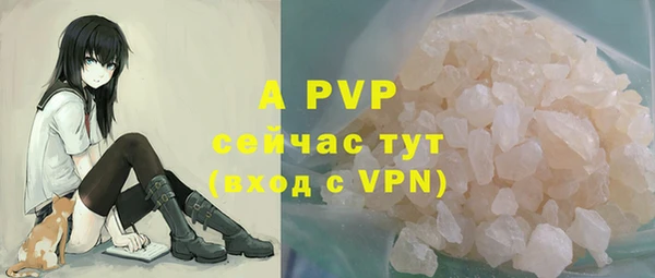 PSILOCYBIN Абаза