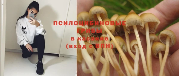 молекула духа Абдулино