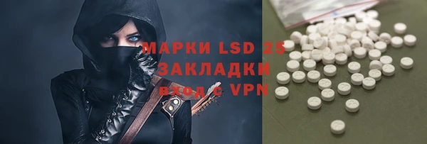 индика Абинск