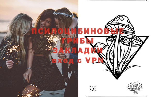 индика Абинск