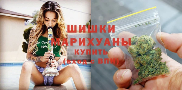 PSILOCYBIN Абаза