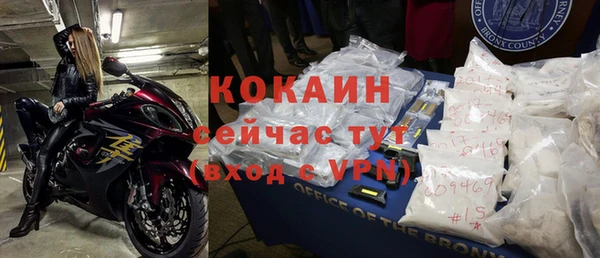 индика Абинск