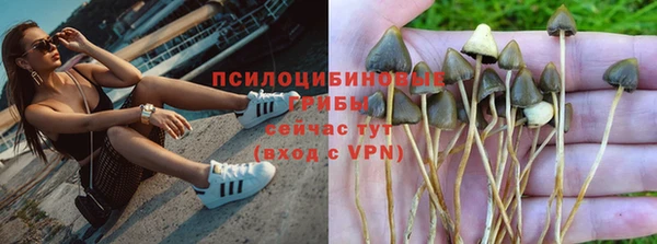 индика Абинск
