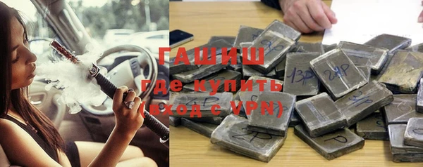гашик Карпинск