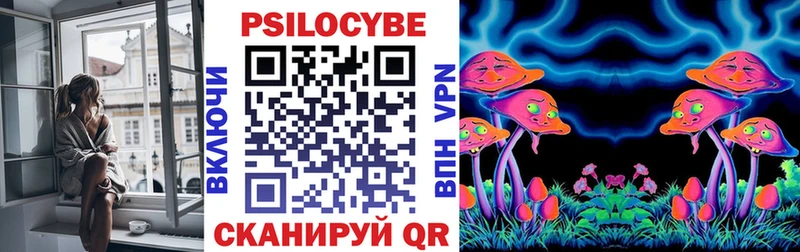 Псилоцибиновые грибы Psilocybine cubensis  хочу   Хилок 